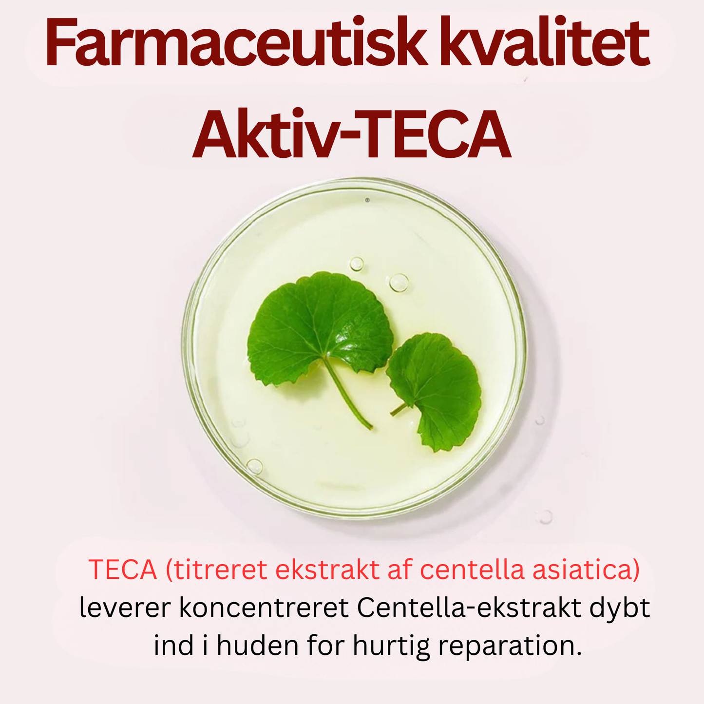 DermaTECA™ - Synligt færre rynker på bare 4 uger